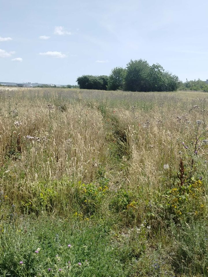 Działka inwestycyjna Lublin Felin, A,Grygowa i Plewinskiego. Zdjęcie 2