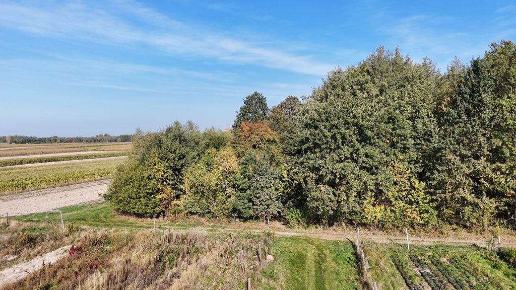 Działka Gwizdów. Zdjęcie 2