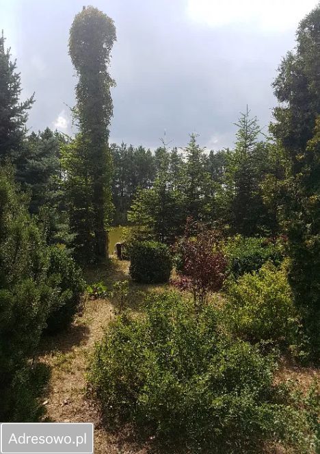 Działka budowlana Kolonia Sójki. Zdjęcie 5