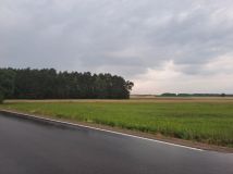 Działka rolno-budowlana Stare Zadybie. Zdjęcie 3