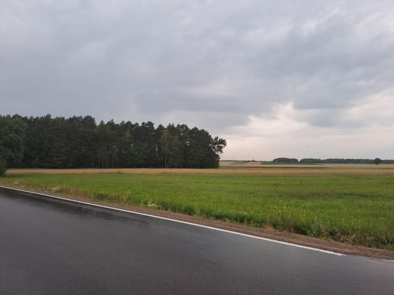 Działka rolno-budowlana Stare Zadybie. Zdjęcie 4