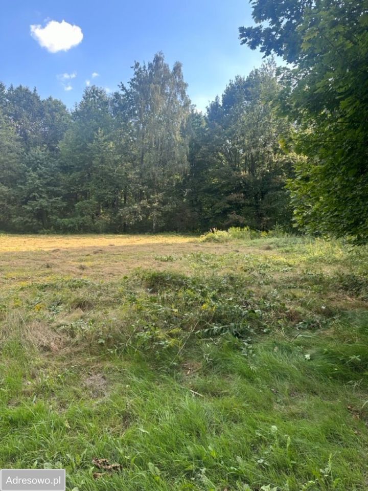 Działka inwestycyjna Mikołów, ul. Podgórna. Zdjęcie 5