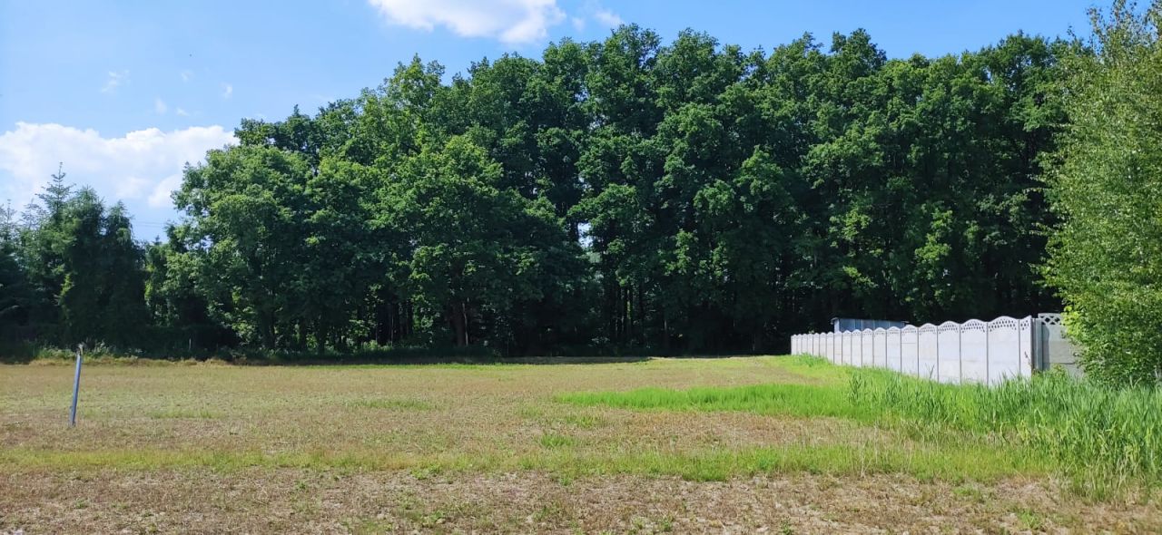 Działka budowlana Wysocko Wielkie, ul. Akacjowa