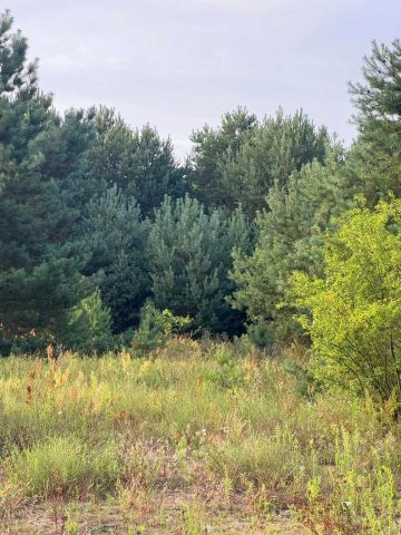 Działka budowlana Kępina. Zdjęcie 1