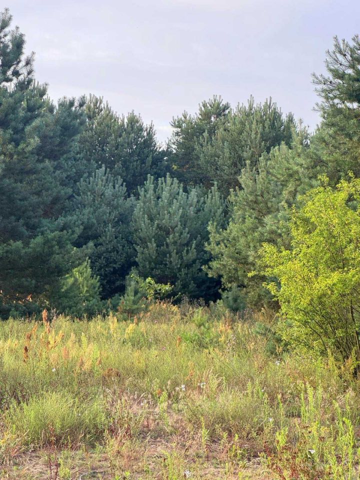 Działka rolno-budowlana Kępina