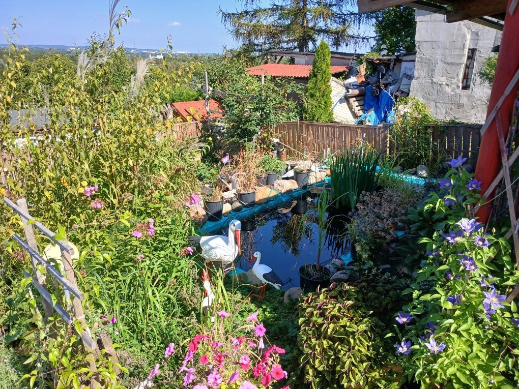 Działka rod Bydgoszcz, ul. Smoleńska. Zdjęcie 8