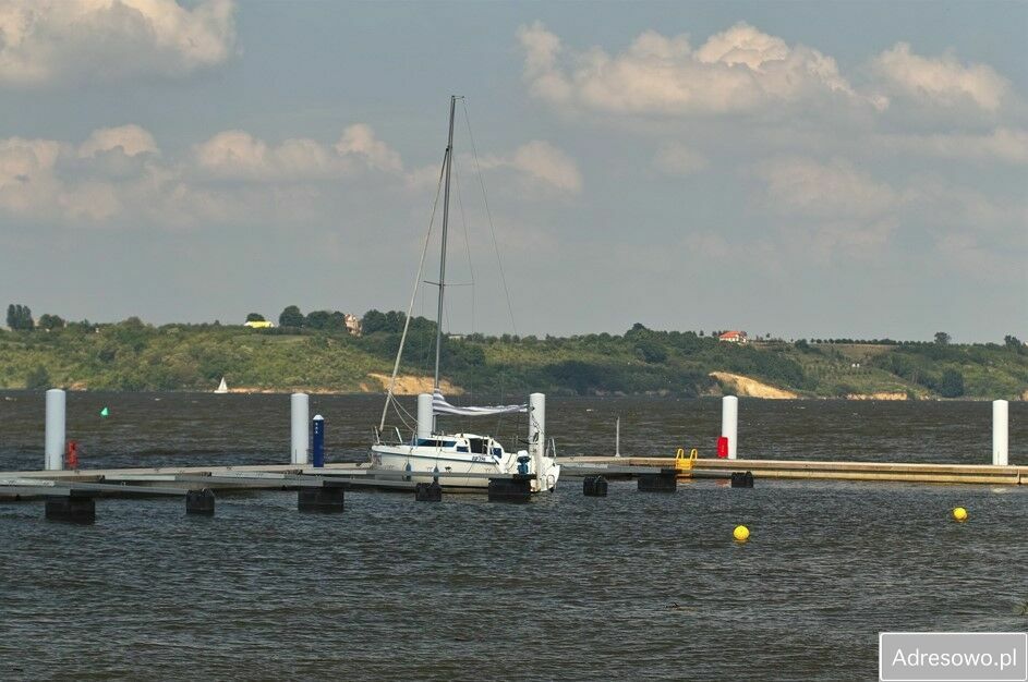 Działka siedliskowa Bachorzewo. Zdjęcie 2