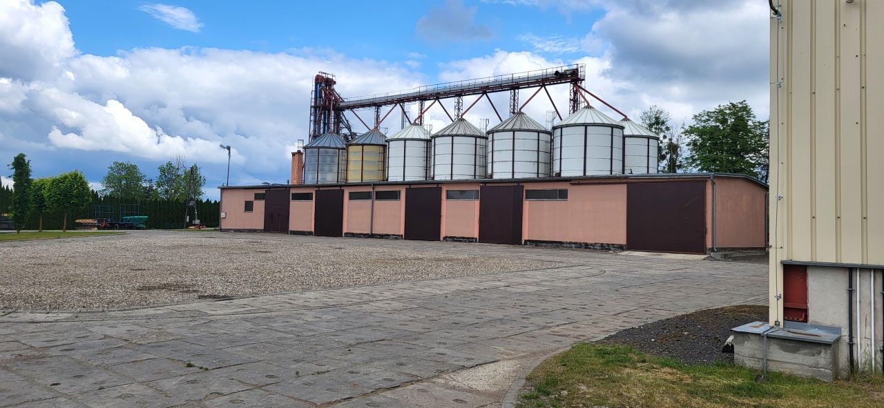 Działka siedliskowa Rychnowo. Zdjęcie 28
