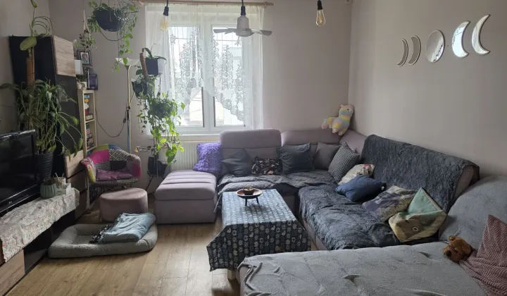 dom wolnostojący, 7 pokoi Katowice, ul. Karola Szymanowskiego