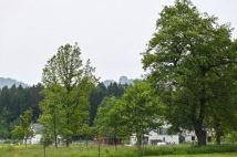 Działka budowlana Janowice Wielkie, ul. Polna. Zdjęcie 3