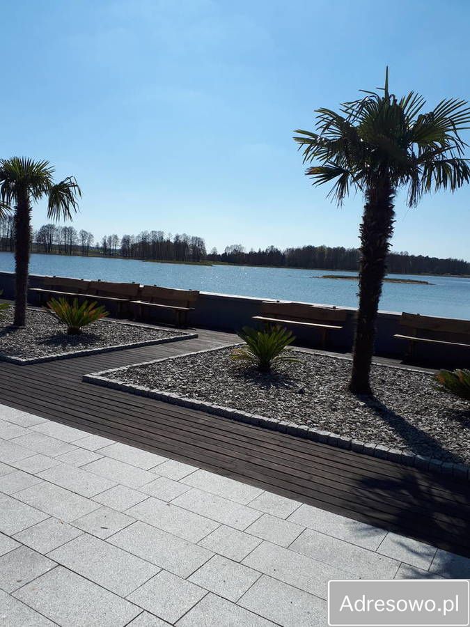 Działka leśna Rzepki. Zdjęcie 2