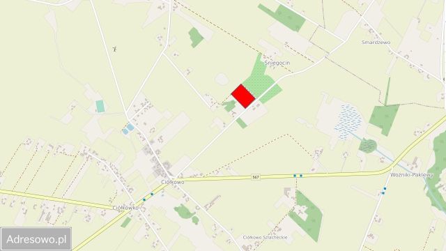 Działka rolna Ciółkowo. Zdjęcie 1