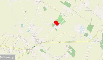 Działka rolna Ciółkowo