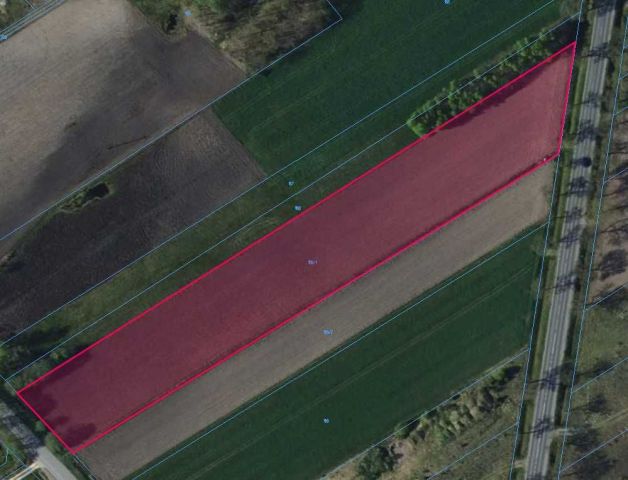 Działka inwestycyjna Bełchów. Zdjęcie 1