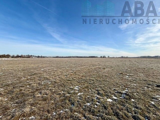 Działka budowlana Słodków. Zdjęcie 4