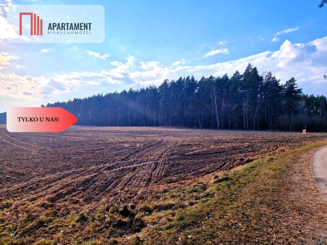 Działka budowlana Wałkowiska. Zdjęcie 13