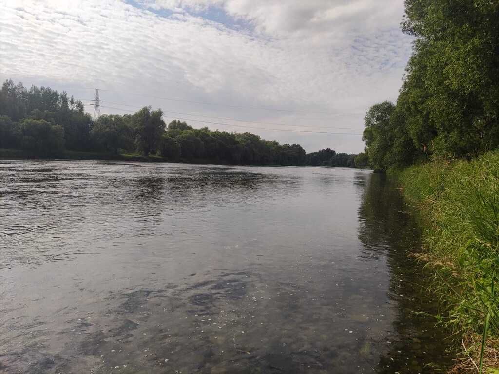 Działka Sanok Olchowce. Zdjęcie 5