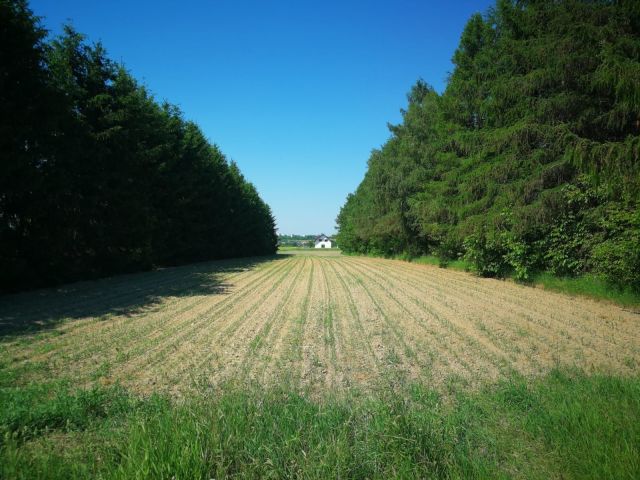Działka budowlana Lublin, ul. H. M. Sachsów. Zdjęcie 1