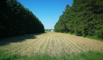 Działka budowlana Lublin, ul. H. M. Sachsów