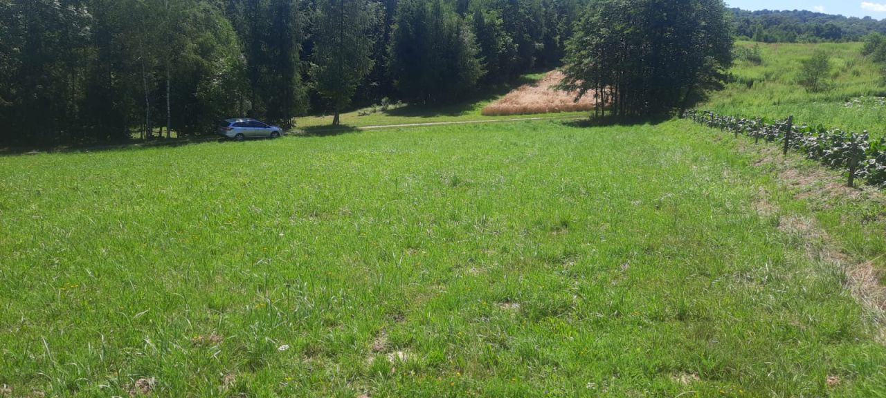 Działka budowlana Grabno Góra. Zdjęcie 3