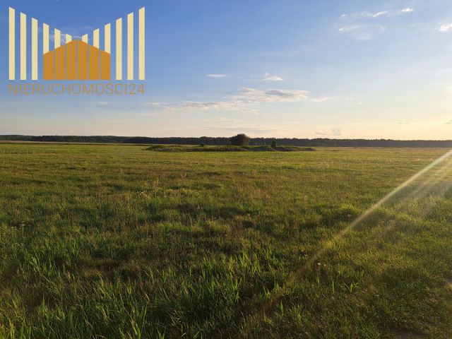 Działka rolna Borki. Zdjęcie 5