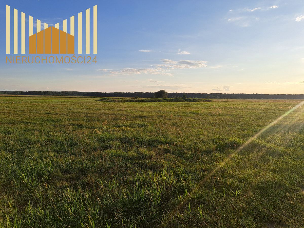 Działka rolna Borki. Zdjęcie 5