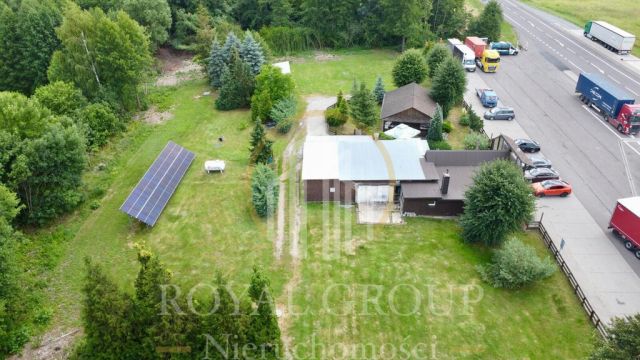 Działka Chojno Nowe Pierwsze. Zdjęcie 9