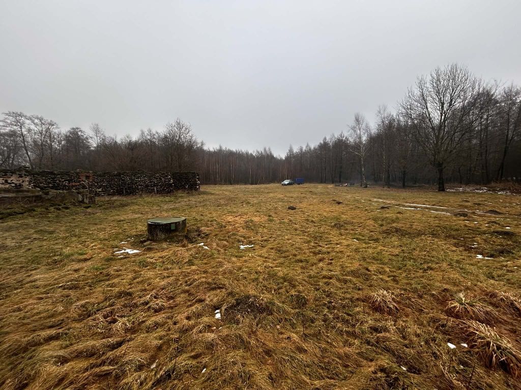 Działka rolna Michalinów. Zdjęcie 5