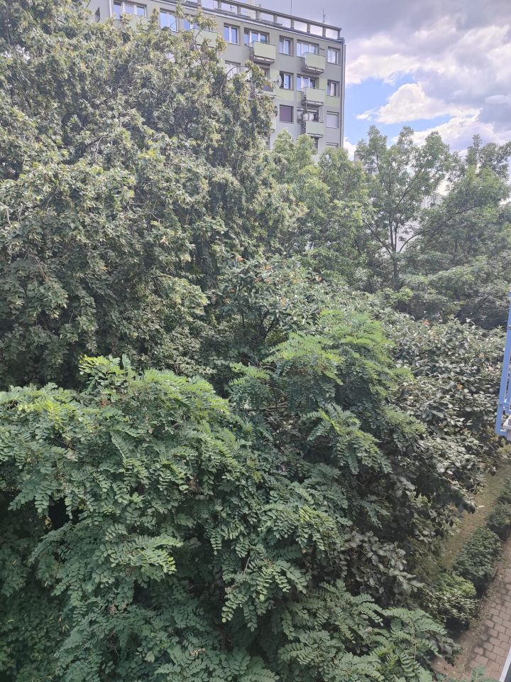 Mieszkanie 3-pokojowe Wrocław Gajowice, ul. Żelazna. Zdjęcie 13
