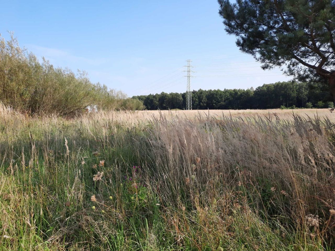 Działka budowlana Tychy Czułów, ul. Leszczynowa