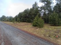 Działka budowlana Zdów. Zdjęcie 3