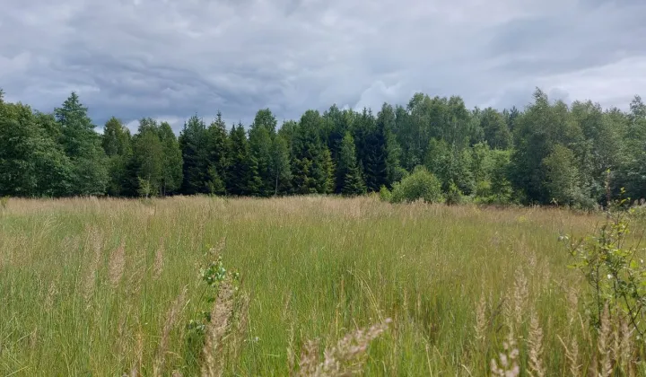 Działka inna Wiluki