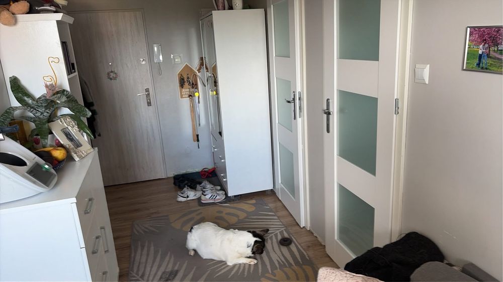 Mieszkanie 2-pokojowe Szprotawa. Zdjęcie 2