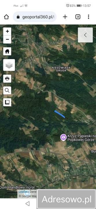 Działka leśna Stasiówka. Zdjęcie 4