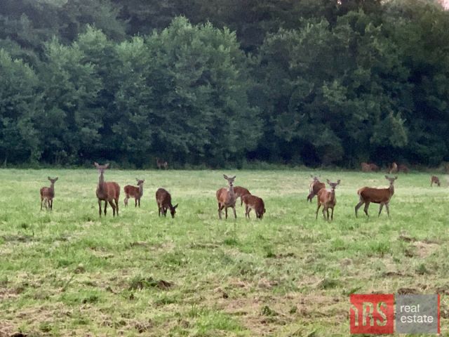 Działka budowlana Stara Łomnica. Zdjęcie 10