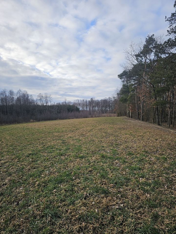 Działka rolna Jarczewo. Zdjęcie 3