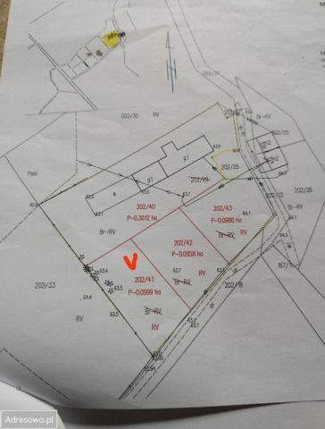 Działka budowlana Szarcz. Zdjęcie 1
