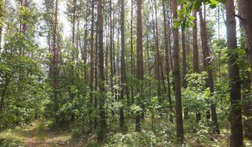 Działka rolno-budowlana Siemianówka