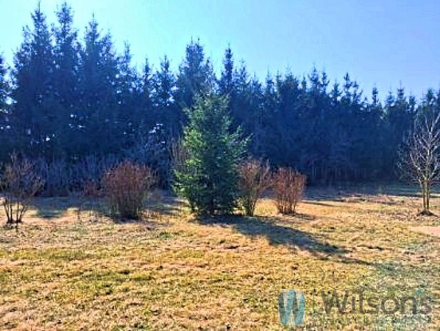 dom wolnostojący, 5 pokoi Ogonowo. Zdjęcie 14