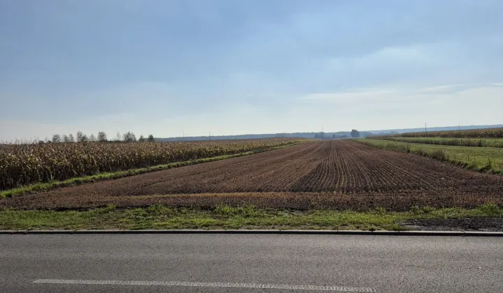 Działka rolno-budowlana Dalachów