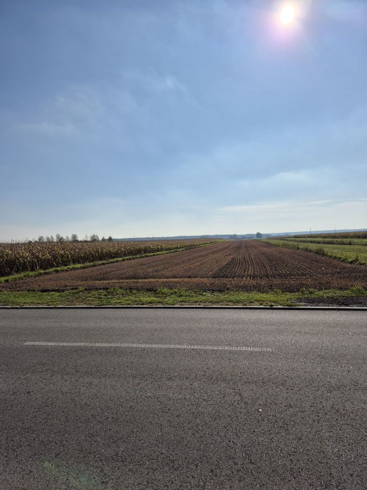 Działka rolno-budowlana Dalachów