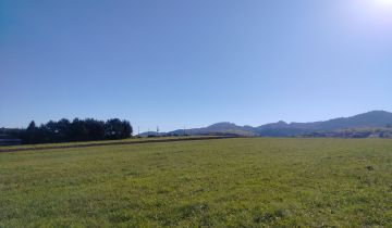 Działka rolna Grywałd