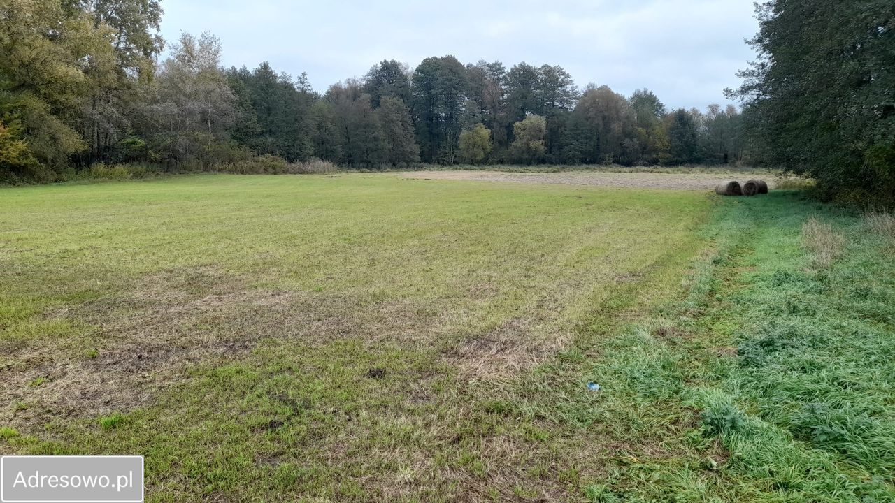 Działka rolna Nowy Secymin. Zdjęcie 6