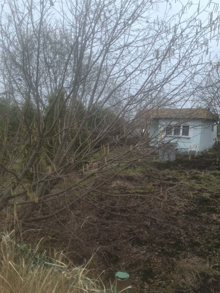 Działka rod Gdańsk Zaspa, ul. Zaścianek. Zdjęcie 5