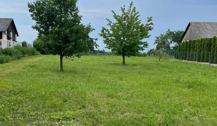 Działka rolno-budowlana Michałowice, ul. Warszawka