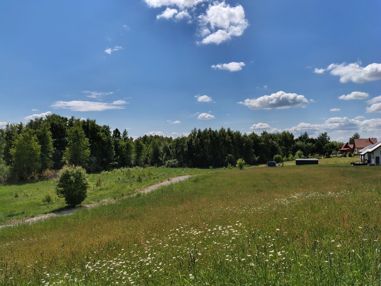 Działka budowlana Nowa Wieś Przywidzka, Piastowska. Zdjęcie 3