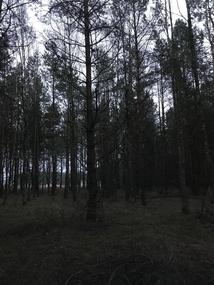 Działka budowlana Jerutki. Zdjęcie 4