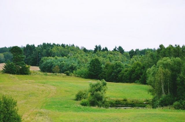 Działka siedliskowa Olszanka. Zdjęcie 1