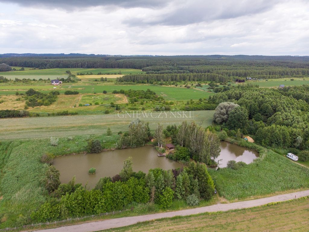 Działka rekreacyjna Pęgów, ul. Jana Klicha. Zdjęcie 3