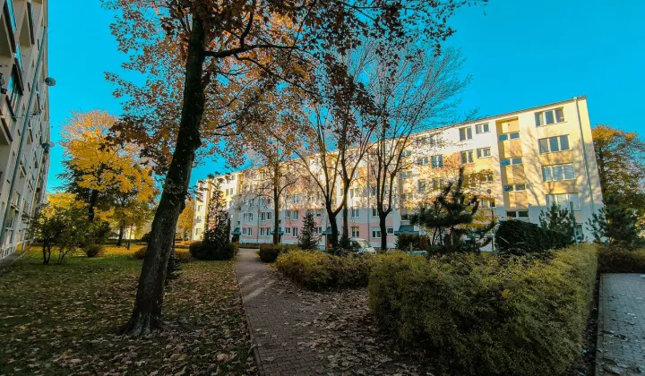 Mieszkanie 3-pokojowe Puławy, ul. Leśna